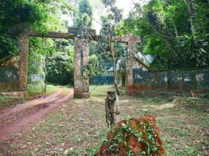 Okomu National Park