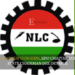 Nigeria Labour Congress, Edo Chapter Confirms State Chairman (SEE DETAILS)