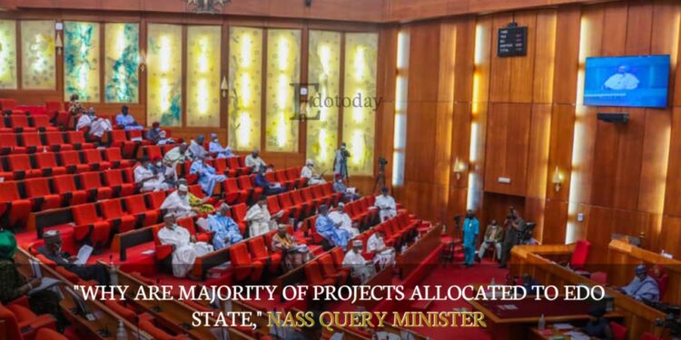 “Why Are Majority Of Projects Allocated To Edo State,” NASS Query Minister