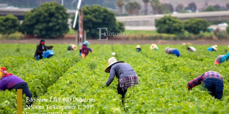 Edo State LIFE-ND Disburses N500m To Empower 1, 797 Farmers (DETAILS)