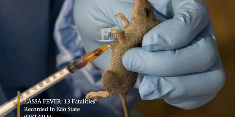 LASSA FEVER: 13 Fatalities Recorded In Edo State (DETAILS)