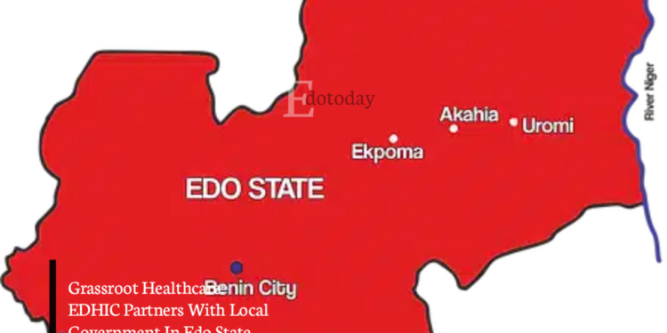 Grassroot Healthcare: EDHIC Partners With Local Government In Edo State