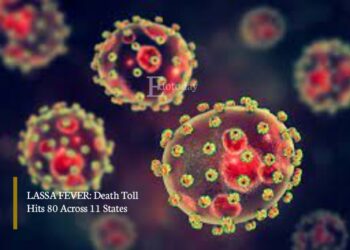 LASSA FEVER: Death Toll Hits 80 Across 11 States