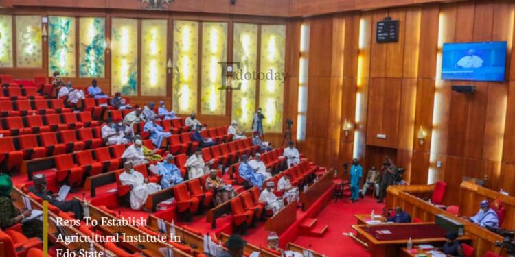 Reps To Establish Agricultural Institute In Edo State