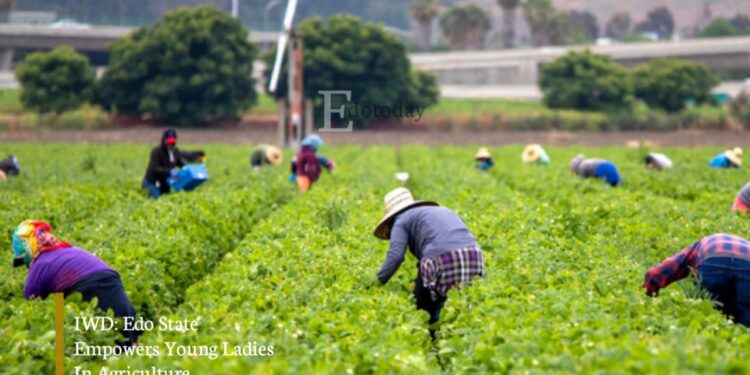 IWD: Edo State Empowers Young Ladies In Agriculture