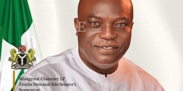 Misogynist Character: LP Youths Demands Edo Senator’s Suspension