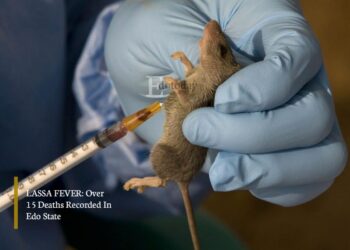 LASSA FEVER: Over 15 Deaths Recorded In Edo State