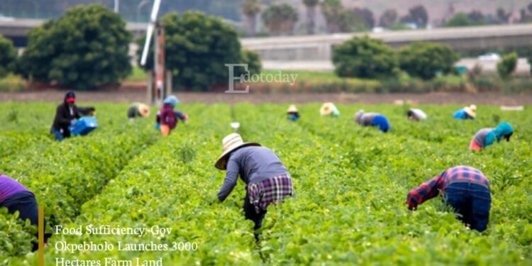 Food Sufficiency: Gov Okpebholo Launches 3000 Hectares Farm Land