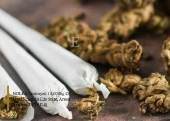 NDLEA Destroyed 13,000kg Of Hard Drugs In Edo State, Arrest Traders (DETAILS)