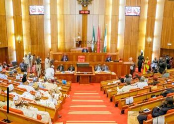 Consultant Authorized By The Edo Assembly To Retrieve State Funds