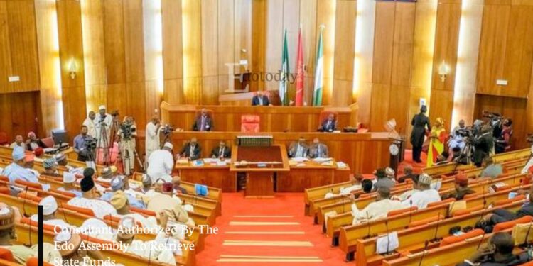 Consultant Authorized By The Edo Assembly To Retrieve State Funds