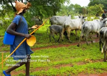 Edo Community Accuses Police Of Covering Up Threat Posed By Herdsmen