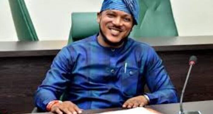 Edo Assembly Member Moves Motion Against Police Brutality in Oredo West