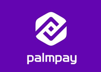 Job Vacancy: Business Developer (Pay with Transfer) at PalmPay – Benin City