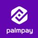 Job Vacancy: Business Developer (Pay with Transfer) at PalmPay – Benin City