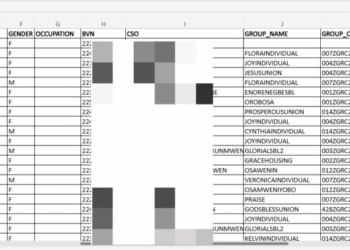Edo State Government Published Loan Applicants’ BVNs, NINs and Bank Accounts Online