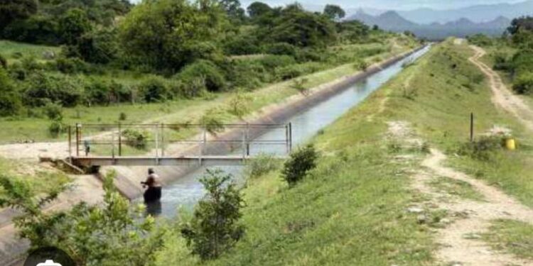 Nigerians Call on ICPC, EFCC to Probe Edo Dam Project – Here’s Why