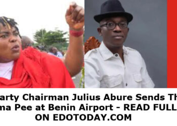 Labour Party Chairman Julius Abure Sends Thugs to Attack Mama Pee at Benin Airport