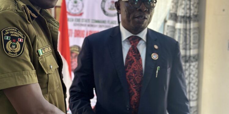 Commissioner for Youth Affairs Meets with NDLEA to Strengthen Partnership Against Youth Drug Abuse in Edo State