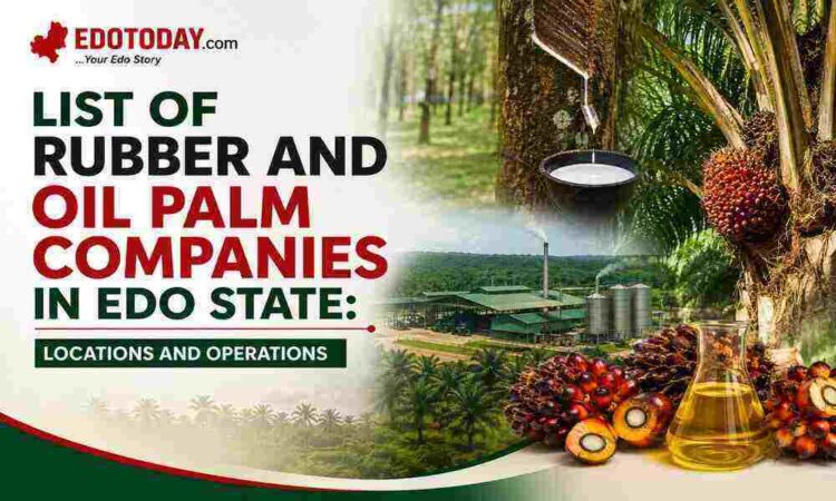 List of Rubber and Oil Palm Companies in Edo State